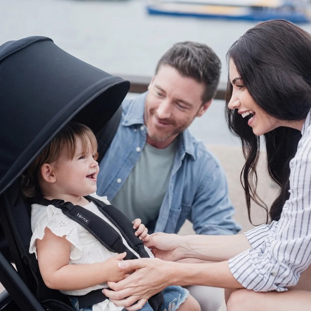 Carry On Luggage Stroller